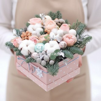 Бруния в новогодней коробке