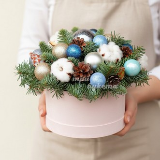 Новогодние шишки в коробке