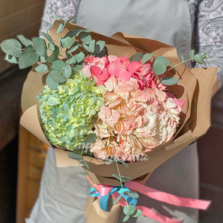 Букет из 3 разноцветных гортензий (крупный план)