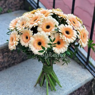 Букет из 23 светло-желтых гербер