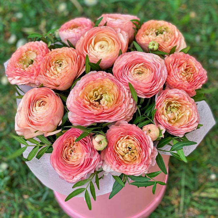 Коробка с персиковыми ранункулюсами (крупный план)