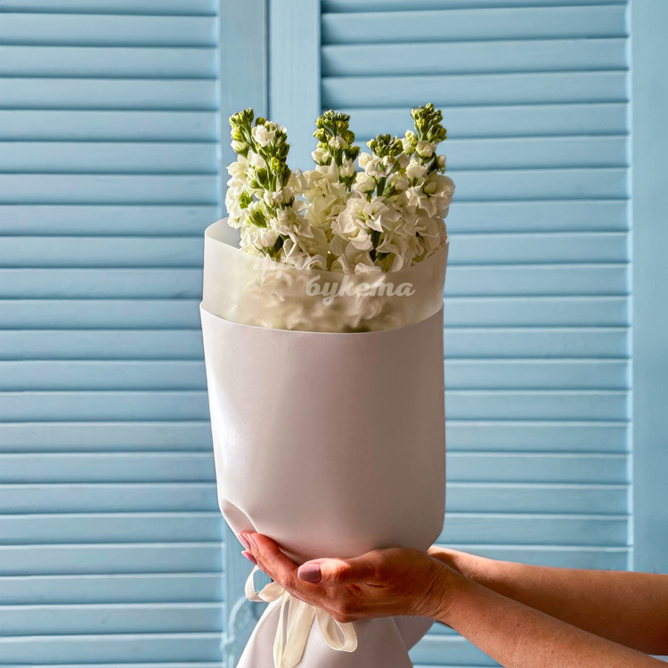 Букет из 5 белых маттиол (в руках флориста)